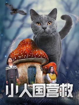 一个世界与美梦