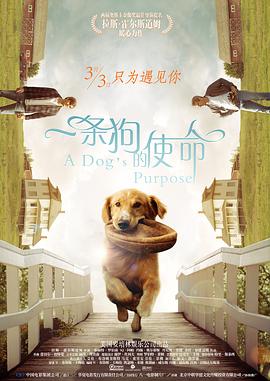性大特级毛片视频